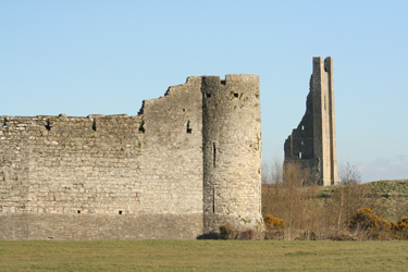 Trim castle and Yellow Steeple